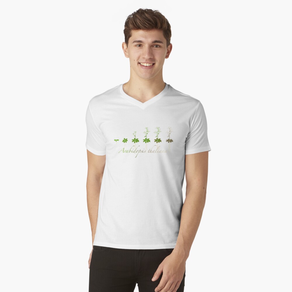 A. thaliana development V-Neck T-Shirt