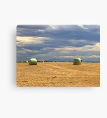Just packed Canvas Print