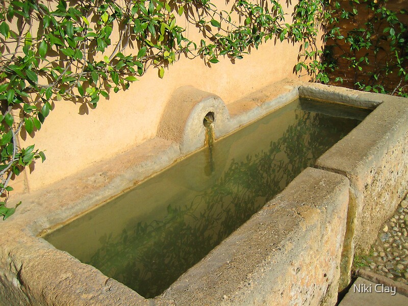 "Alhambra garden water feature with reflection" by Niki Clay Redbubble