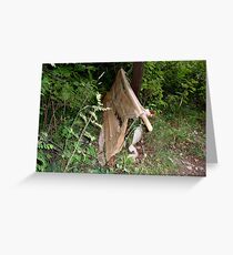 To the rescue Greeting Card