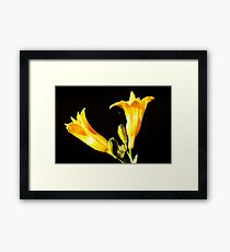 Yellow Yellow Framed Print