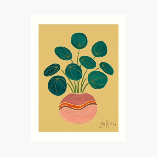 Pilea Plant Art Print