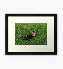 Hello? Framed Print