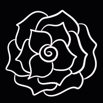 Rosa negra sobre fondo blanco