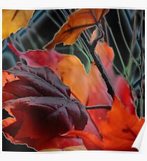 Imitation Fall Poster