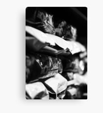 Monte Canvas Print