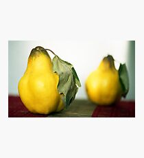 A Pear Of Quince Photographic Print