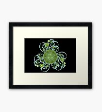 Spring Flowers Framed Print