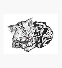 Sleeping Tabby Photographic Print