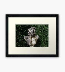 Bust Framed Print