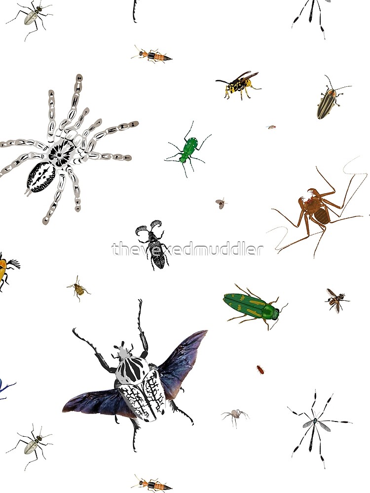 Entomologist's Dream by thevexedmuddler