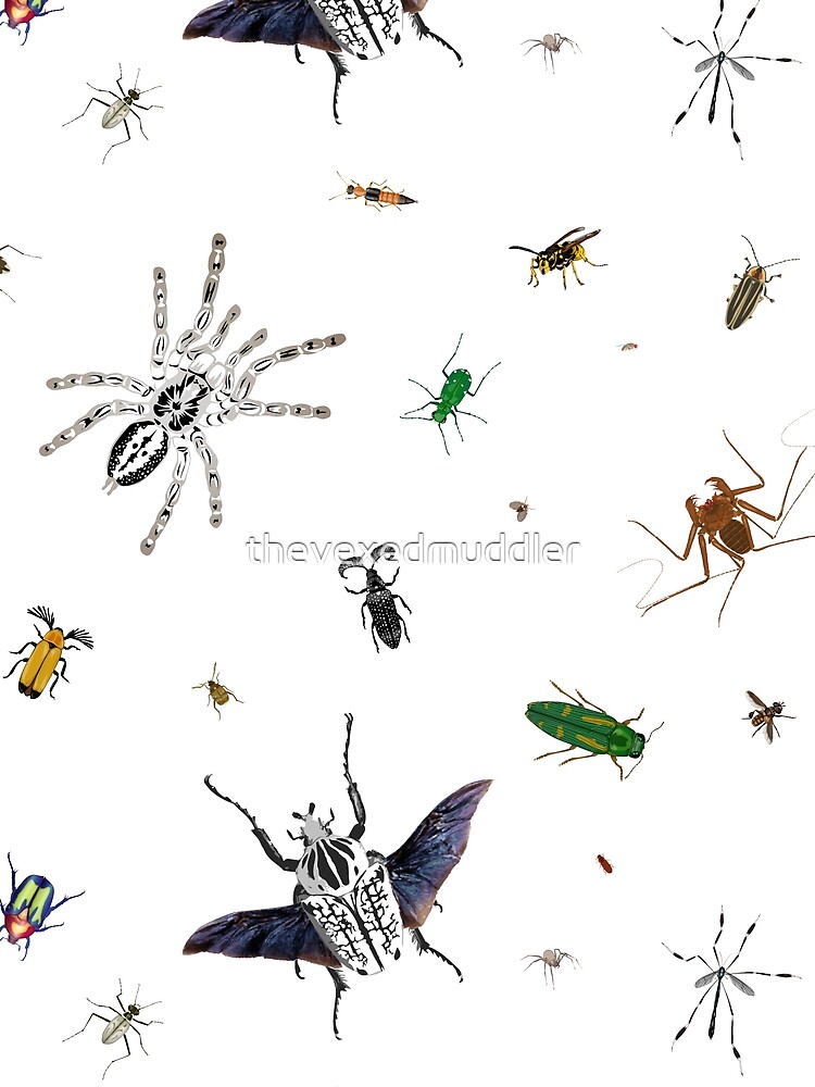 Entomologist's Dream by thevexedmuddler