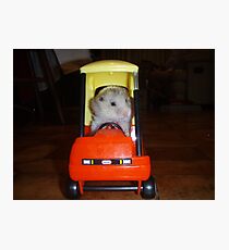 Hamster trip Photographic Print