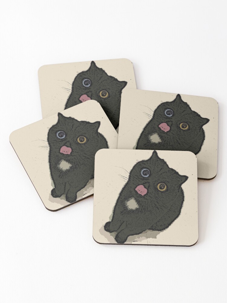 cat coaster set
