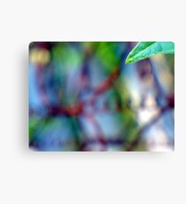 losing focus Canvas Print