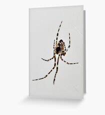 Creepy Crawly Greeting Card