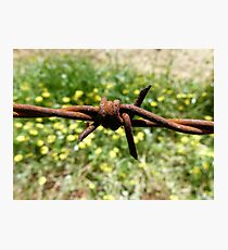 Barbed Photographic Print