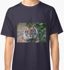 tiger at the zoo Classic T-Shirt