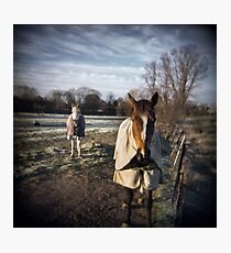 Winter Horses Photographic Print