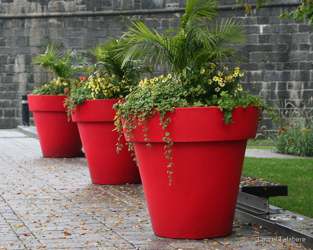  Three Red  Flower  Pots  in Old Quebec City by Laurel 