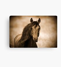 Chief Canvas Print