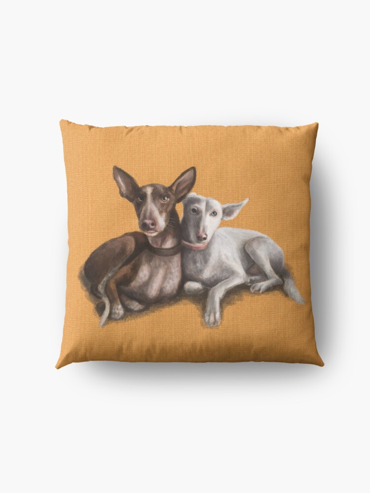 Alternate view of The Podenco Floor Pillow