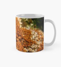 super macro Classic Mug