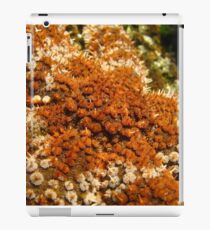 super macro iPad Case/Skin