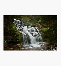 Liffey Falls, Tasmania Photographic Print