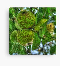 Lienzo Fruits of the Orchard