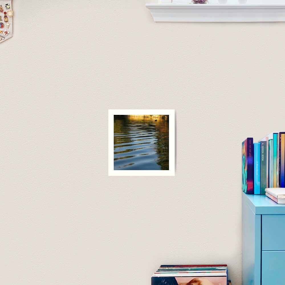 Water Hen Art Print