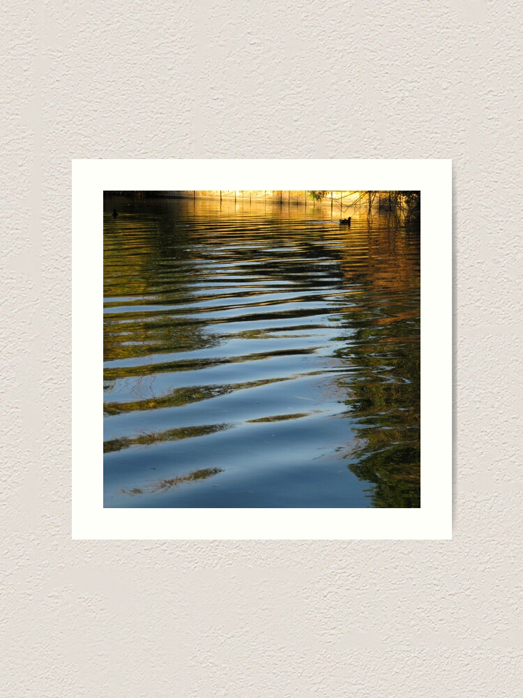 Alternate view of Water Hen Art Print