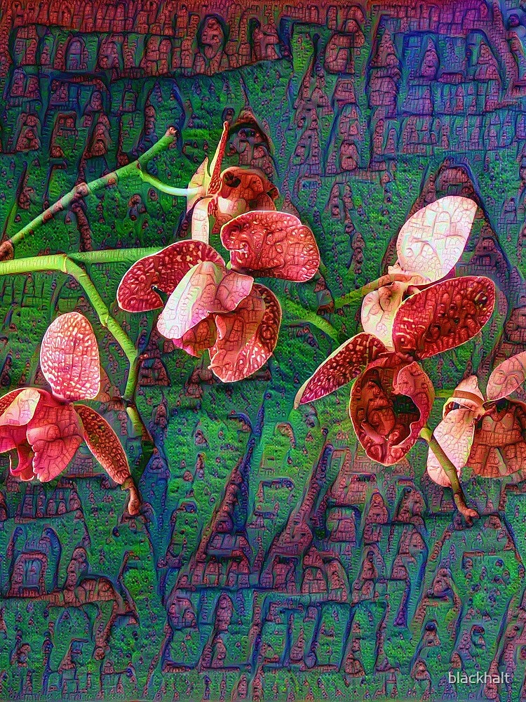 Phalaenopsis A #DeepDream by blackhalt