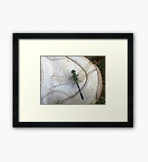 Good Luck Comes in Green Framed Print