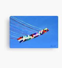 Dip and Dive, Wild and Free Canvas Print