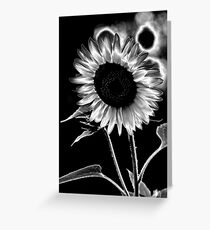 Sunflower solarization Greeting Card
