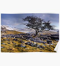 Limestone Country - The Yorkshire Dales Poster