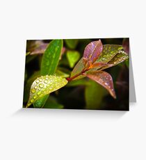 droplets_6 Greeting Card