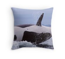 killer whale pillow