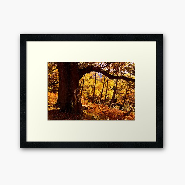 Autumn colours near Ullswater - The Lake District Framed Art Print