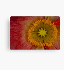 Nature's Spinning Wheel Canvas Print