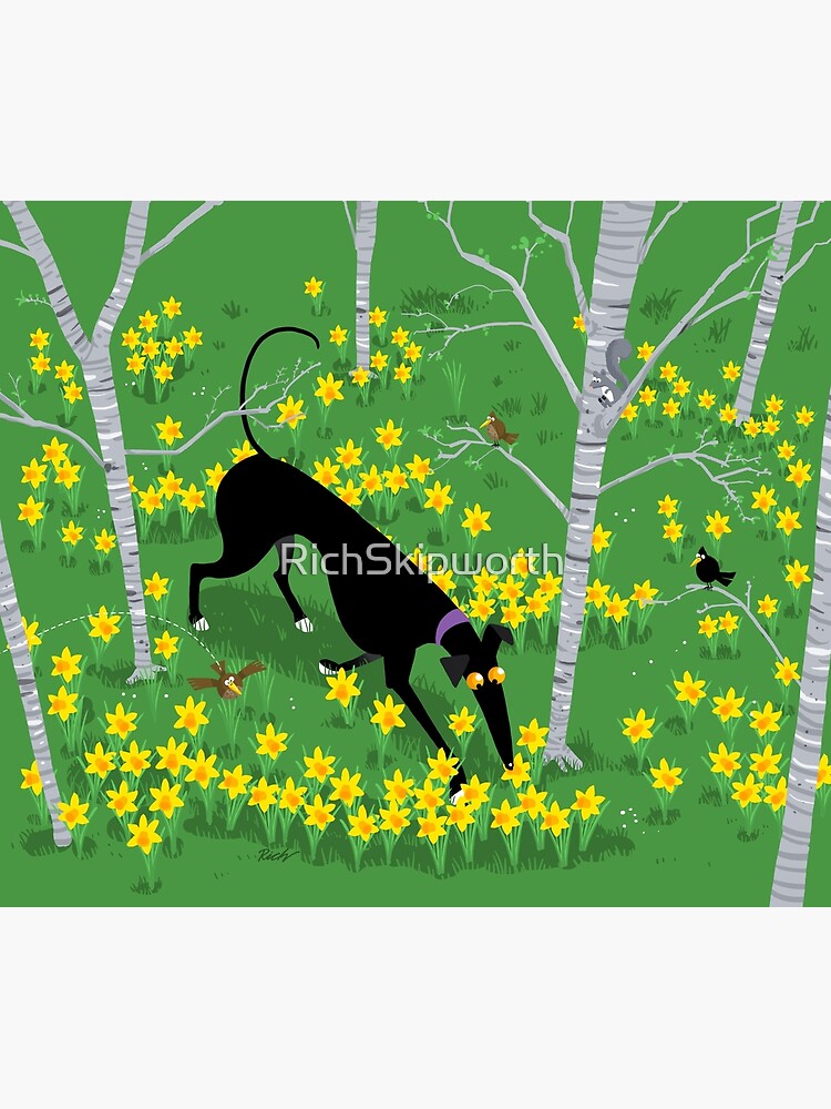 Daffodil Hound by RichSkipworth