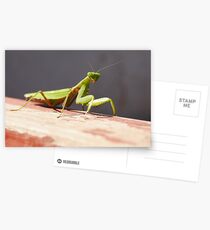 matis existed Postcards