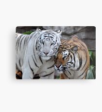 Friends Two Metal Print