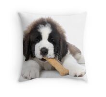 saint bernard pillow pet