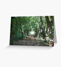 Forest pathway Greeting Card