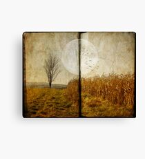 One Tree...from the top Canvas Print