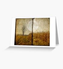 One Tree...from the top Greeting Card