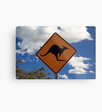 Kangaroos Metal Print