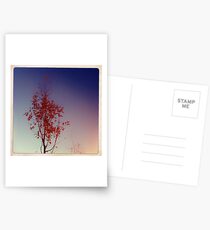 Redtree Postkarten